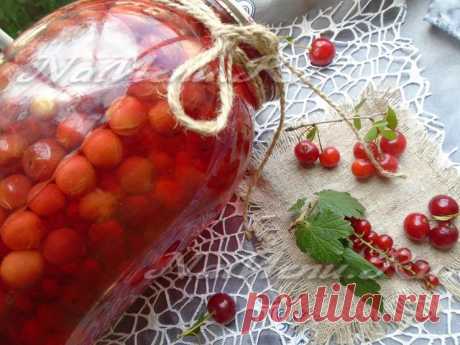 Компот из крыжовника, красной смородины и вишни: рецепт с фото
