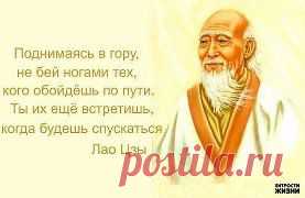 (59) Одноклассники