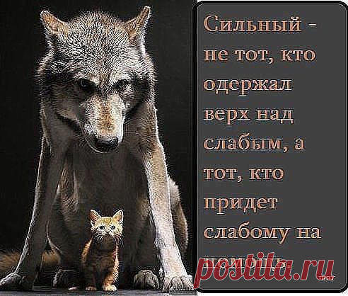 Интересные новости