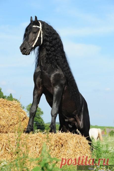 Мой Мир@Mail.Ru