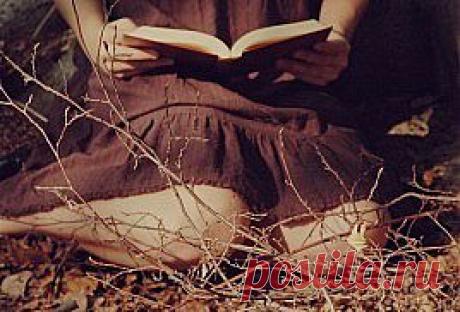 Польза от чтения книг