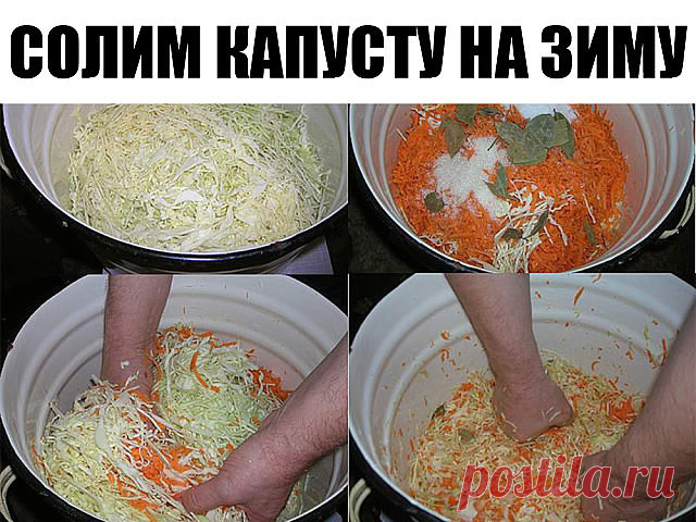 СОЛИМ КАПУСТУ НА ЗИМУ. 7 лучших рецептов.

Засолка капусты в 3-литровых банках.

РЕЦЕПТ 1.
КАПУСТА БЫСТРОГО ПРИГОТОВЛЕНИЯ.

Нашинковать капусту тонкой соломкой или нарезать кусочками. Плотно 
уложить в 3-х литровую банку. Залить холодной водой, растворив в ней 2 ст.ложки соли (воды 1-1,5 л). Оставить банку в тепле на 2 дня. Затем 
слить немного рассола и растворить в нём полстакана сахара, влить опять в капусту, оставить на один день, затем убрать в холодильник для хранени...