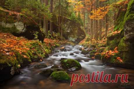 35PHOTO - Daniel Rericha - Small river in autumn colors