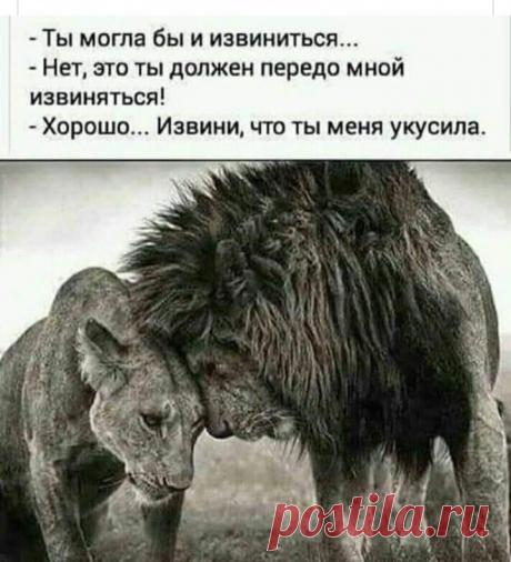 Группа «Женский сарказм»