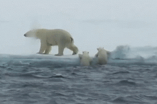 GiF WORLD – Earth – Сообщество – Google+