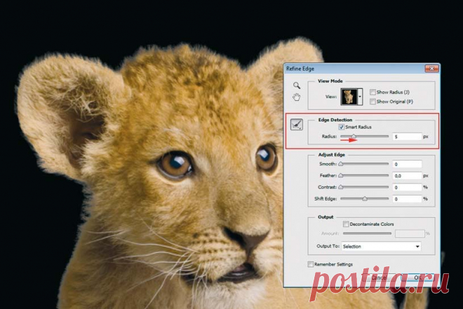 Инструмент лассо в Фотошопе