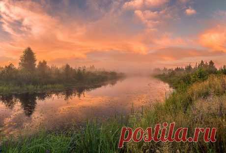 Утренние краски на реке Уборть, Беларусь. Автор снимка – Игорь Жданович: nat-geo.ru/community/user/212929/. Светлого утра!