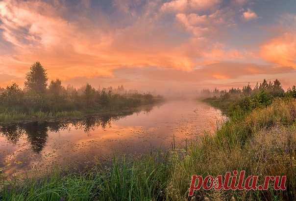 Утренние краски на реке Уборть, Беларусь. Автор снимка – Игорь Жданович: nat-geo.ru/community/user/212929/. Светлого утра!