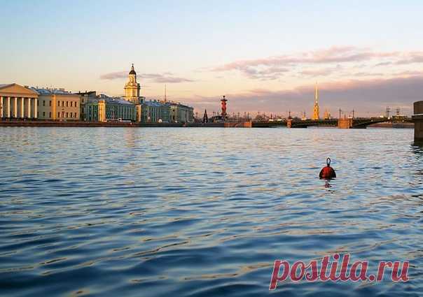 Нева – главная река Петербурга.

Нева металась, как больной
В своей постели беспокойной.
А.C. Пушкин

Река Нева представляет большой интерес с геологической точки зрения, хотя сравнительно молода - ей не более 4 000 лет. Она значительно моложе рек Охта и Тосна, протекающих там же. Человек, несомненно, был свидетелем образования и формирования реки Невы и ее дельты.
Соединяя Ладожское озеро с Финским заливом, Нева прорезает Петербург на протяжении 32 км (2/5 всей длины), об...