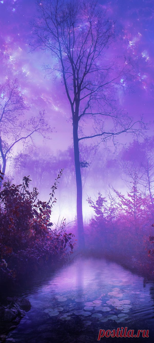 ✯ Morning Mist | Wallpapers