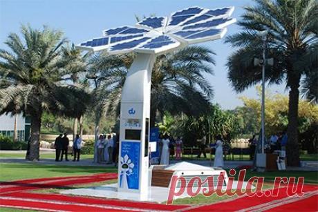 В Дубае установили раздающие Wi-Fi «деревья»