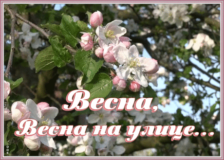 Открытка весна на улице