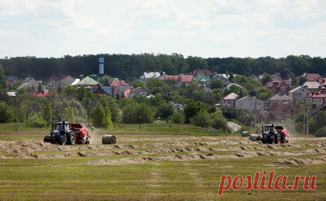 В белгородских селах продлили выплаты компенсаций за аренду жилья. Губернатор Белгородской области Вячеслав Гладков объявил о продлении до 1 сентября выплат за частичную компенсацию аренды жилья жителям нескольких населенных пунктов.