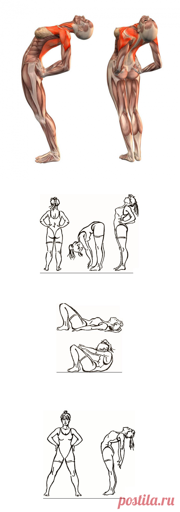 Поза для выпрямления позвоночника. Упражнения для осанки лфк. Как выпрямить осанку. Упражнения чтобы выпрямить позвоночник. Упражнения для выпрямления позвоночника.