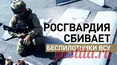 Оперативно реагируют на все угрозы с воздуха: работа мобильных огневых групп Росгвардии. Благодаря работе мобильных огневых групп Росгвардии в Белгородской области попытки украинских боевиков атаковать стратегически важные объекты в глубине территории РФ с помощью беспилотников терпят неудачу. Главная задача Национальной гвардии России — обеспечение безопасности и стабильности в регионе. О том, как удаётся противостоять воздушным угрозам, — в сюжете военкора RT Саргона Хадая. Читать далее