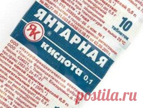 Янтарная кислота для растений. Стимулятор роста растений