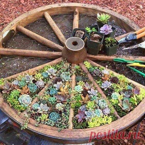 Вдохновляющие идеи клумб в колесе — Сделай сам, идеи для творчества - DIY Ideas