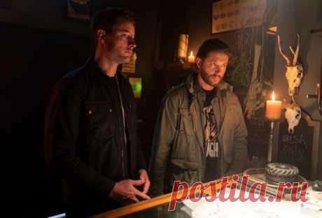 Следопыт (сериал 2024)