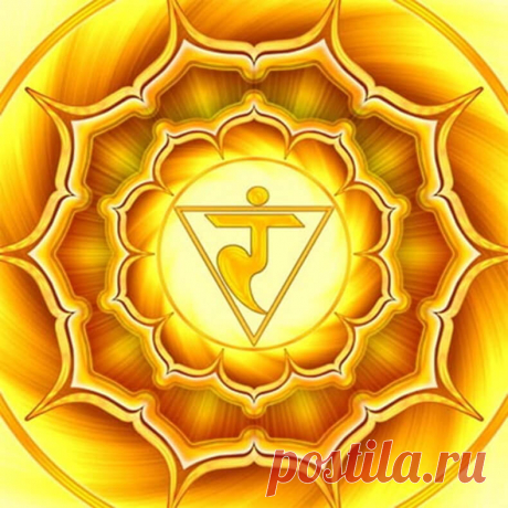 Эффект воздействия растений на чакры — равновесие ума, тела и духа