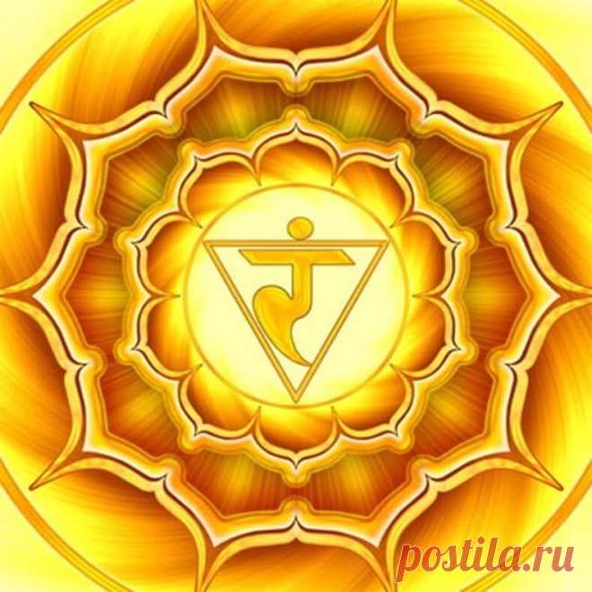 Эффект воздействия растений на чакры — равновесие ума, тела и духа