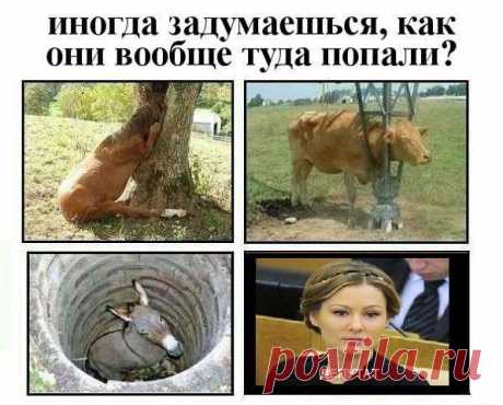 Интересные новости