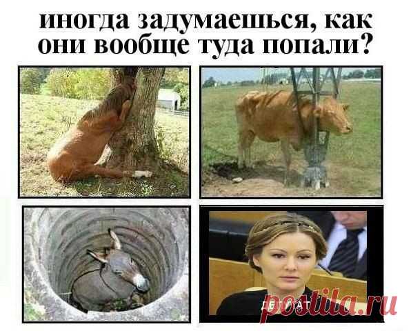 Интересные новости