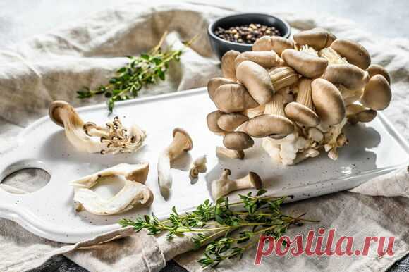 Как мариновать вешенки - рецепты и советы