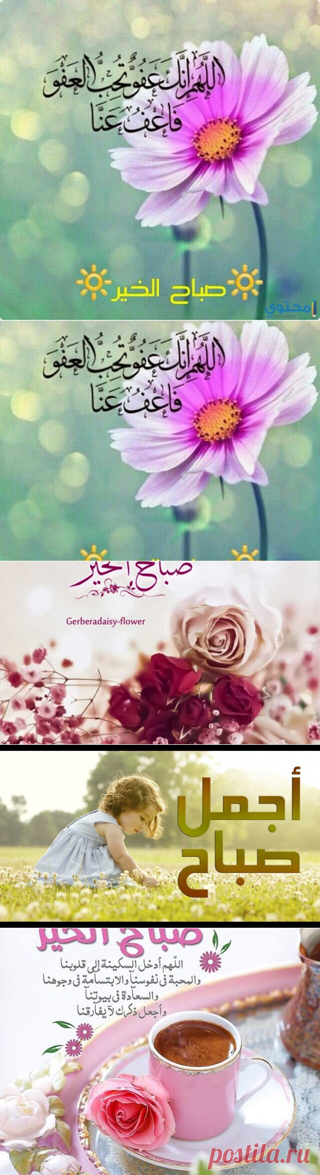 دعاء صباح الخير للأصدقاء - سيدات مصر