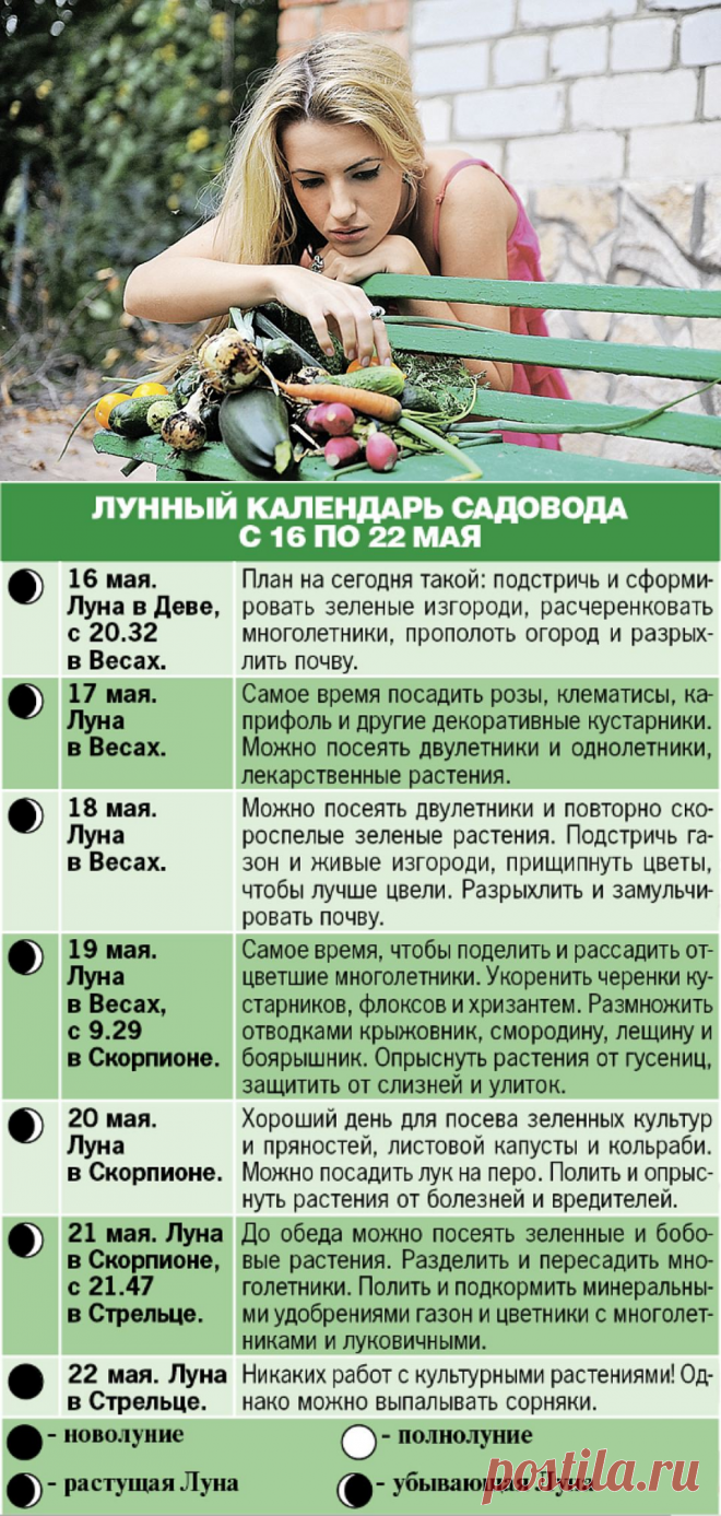 Заморить червяка