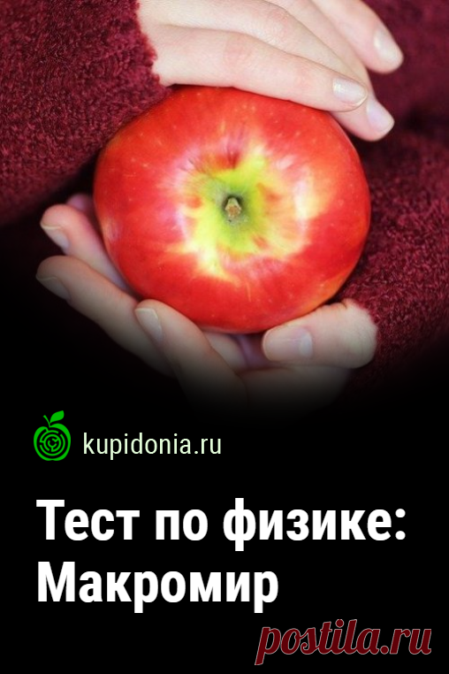 Тест по физике: Макромир. Проверочный тест по физике по теме «Макромир». Школьная программа. Пройди тест на сайте и проверь свои знания!