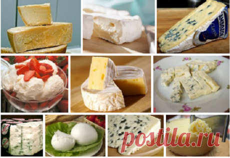  Топ-10 самых вкуснейших сыров в мире, которые нужно попробовать Будь ассом!