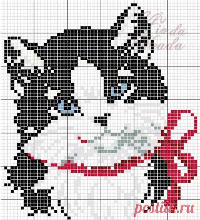 Котики ... 14 схем для вышивки крестом (+24 дополнительные)