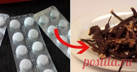 Врач рассказал, чем заменить ибупрофен! Жаль, такие средства никто не рекламирует, все мы — заложники аптеки…
Не секрет, что печень страдает не только у алкоголиков. Цирроз, гепатит, печеночная недостаточность… Стоит только выпить неудачное гепатотоксическое средство — и на тебе! Перечень таких препаратов неимоверно длинный, однако есть и такие, которые всегда под рукой. Ибупрофен, например. Чувствуешь легкое недомогание? Раз таблеточку, и всё прошло. 
Разумеется, что от одноразового приема иб