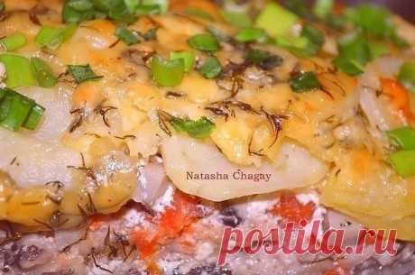 9 САМЫХ ВКУСНЫХ блюд из фарша!

1. Запеканка картофельно - мясная

- Фарш 300-400гр
- лук 2-3шт
- картошка 3 шт крупные
- грибы (вареные или маринованные) 150гр
- 1 помидор
- чеснок 3 зуб
- сметана в фарш 1-2 ст л
- хмели -сунели в фарш 1 ч л
- соль, перец черн молотый
- тмин в фарш 1/3 ч л
Заливка:
- сыр 100гр
- молоко 50мл
- сметана 2-3 ст л
- зелень
- соль, перец.

Фарш перемешать со сметаной и специями, посолить. Лук порезать, обжарить до мягкости. Картошку порезать то...