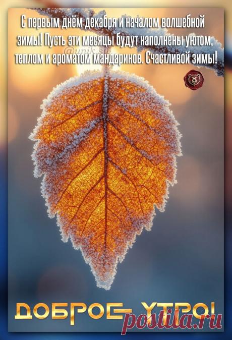 с первым декабря доброе утро картинки красивые