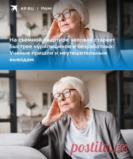 2023-На съемной квартире ЧЕЛОВЕК СТАРЕЕТ быстрее курильщиков и безработных: Ученые пришли к неутешительным выводам - KP.RU