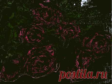 0_8b6a2_3e993649_XL.gif (599×450)