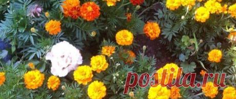 Guest House "Sweet Home" - Dilijan - Armenia – Sweet Home – Dilijan – Armenia