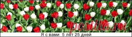 ЗАКУСКИ - gotovtesnami.ucoz.net