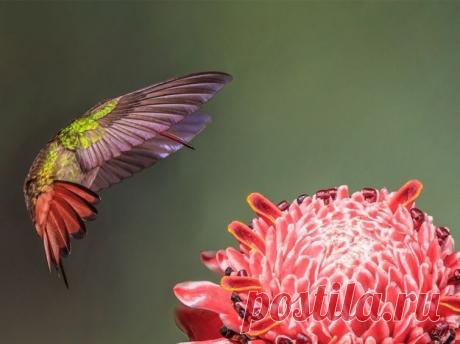 Чтобы преуспеть, нужно принять мир таким, какой он есть, и возвыситься над ним.
Гений - это 1 процент вдохновения и 99 процентов потения.