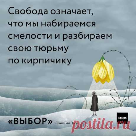 11 апреля во всем мире отмечается памятная дата — Международный день освобождения узников фашистских концлагерей. Ева Эдит Эгер попала в Аушвиц в 16 лет. Ее родители погибли сразу, но Эдит вместе с сестрами удалось выжить. Впоследствии она стала выдающимся психологом, специализирующимся на травмах. Книга Эгер «Выбор» — незабываемая история выживания и исцеления, история освобождения и силы человеческого духа. Она показывает, что мы всегда можем выбирать, чему нас учит жизнь и как относиться к…