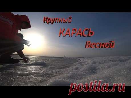 Рыбалка На Карася Весной. Крупный Карась На Удочку. Ночевка в Палатке Весной. Палатка Гексагон.