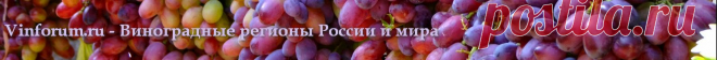 Сорта для виноделия - стр. 7 - Домашнее виноделие - Виноградные регионы