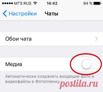 15 опций WhatsApp, о которых вы могли не знать - Hi-Tech Mail.Ru