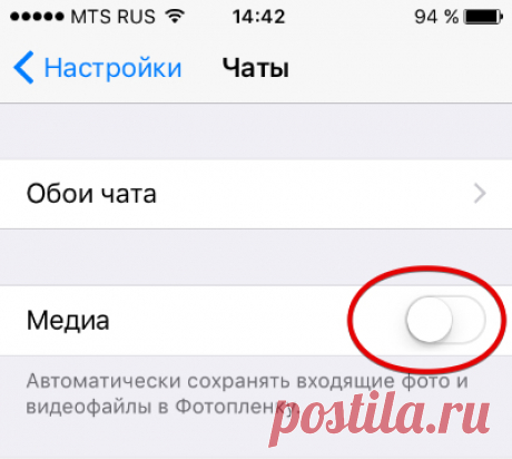 15 опций WhatsApp, о которых вы могли не знать - Hi-Tech Mail.Ru