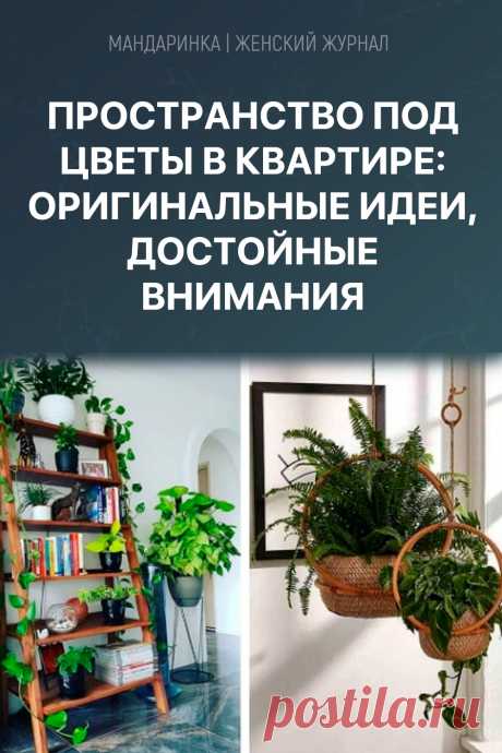 Пространство под цветы в квартире: оригинальные идеи, достойные внимания