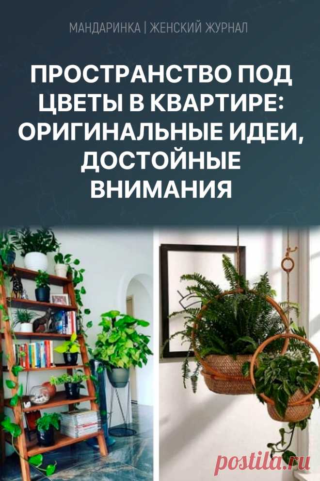 Пространство под цветы в квартире: оригинальные идеи, достойные внимания