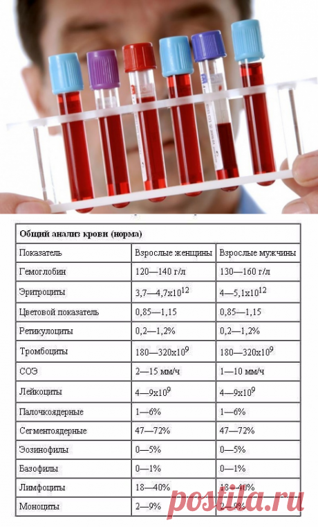Общий анализ крови — это полезно знать!