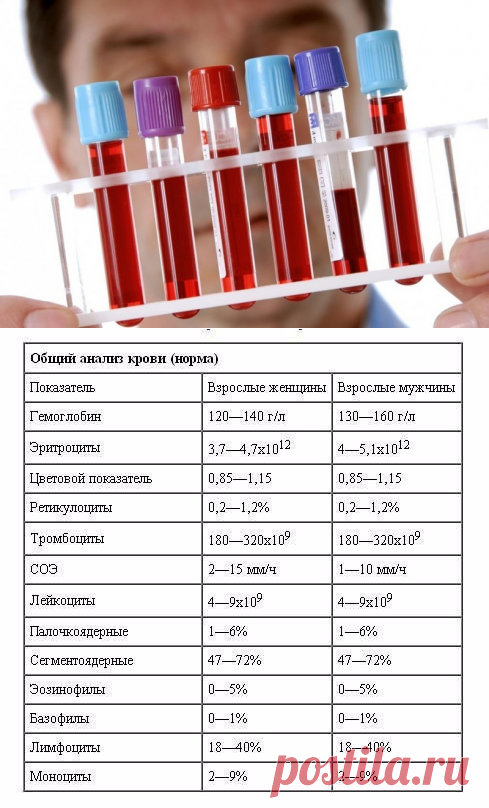 Общий анализ крови — это полезно знать!