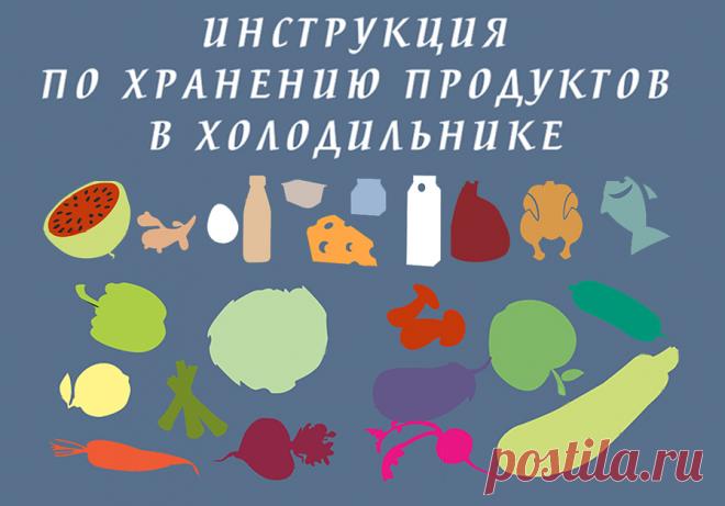 Как лучше хранить продукты, чтобы они не портились раньше времени